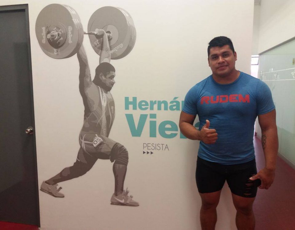 Hernan Viera competencias